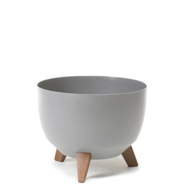 Roma misa 290